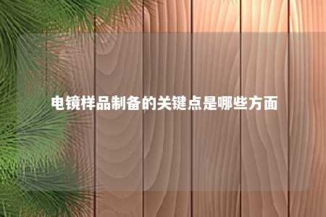 电镜样品制备的关键点是哪些方面 